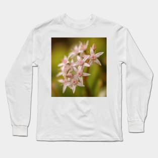 Jade plant flowers Long Sleeve T-Shirt